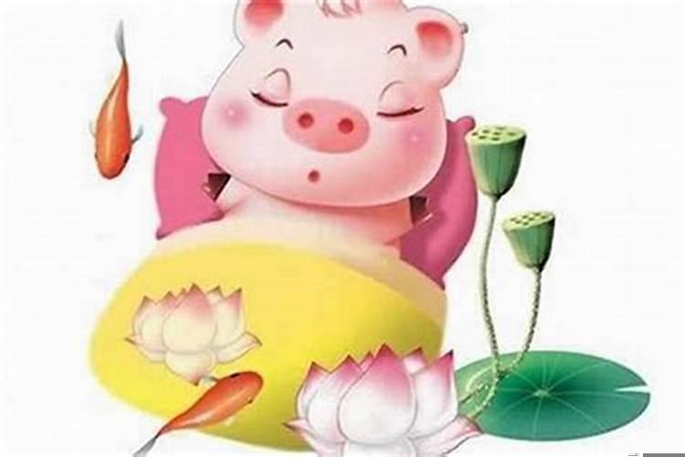 属猪的贵人是什么生肖