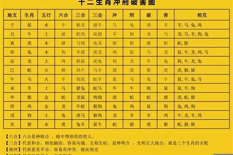 十二生肖相刑是啥意思