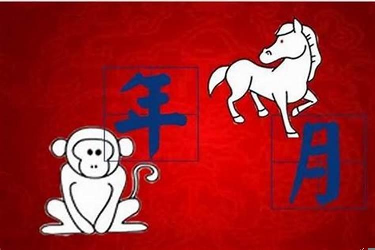 下次猴年马月是哪一年