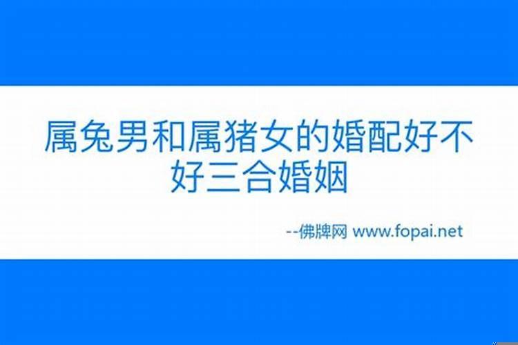 男的属兔女的属猪配不配