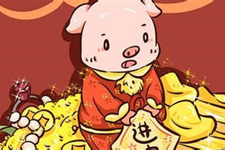 属猪人哪天出生命运好