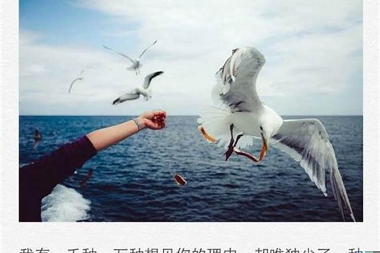 射手座忍住不找你