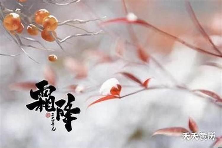 1995属猪女有贵人相助吗