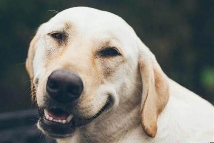 男人梦见自己老婆生小孩是什么征兆