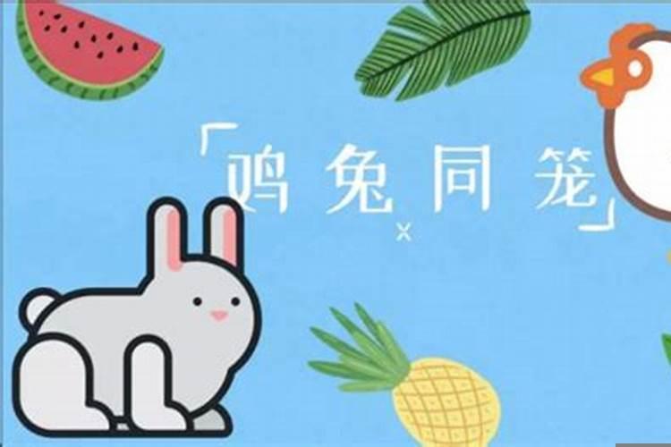 鸡兔同笼的问题怎么解决?