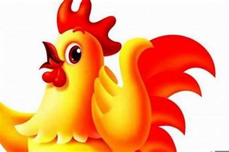 属鸡在兔年结婚好吗