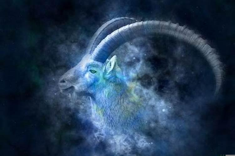 我要看关于摩羯座的