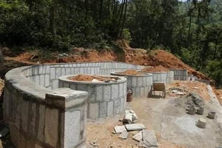 坟上榆树能不能砍