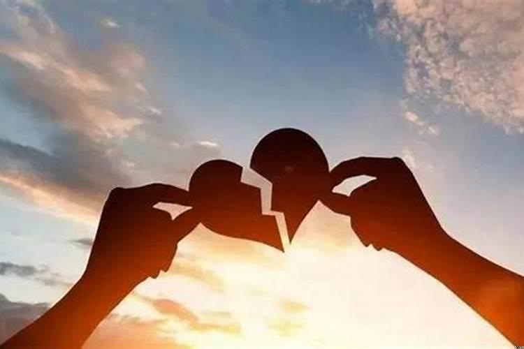 兔和羊的属相合不合结婚