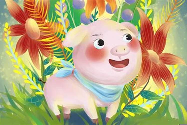 属猪的2007年女娃学业