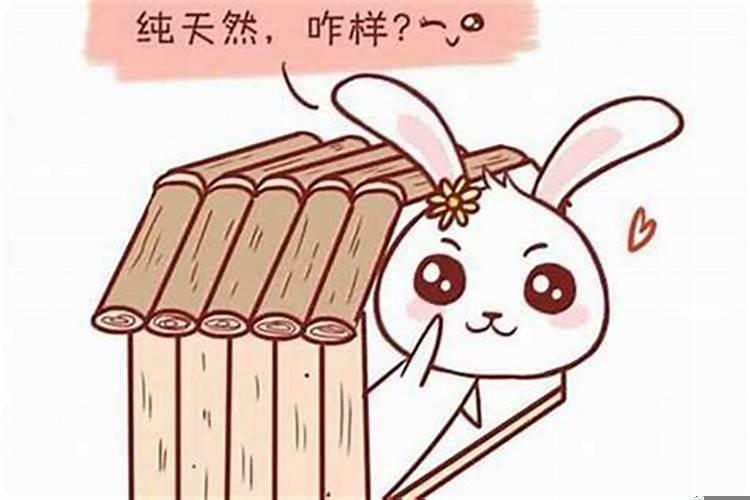 火兔适合住几楼