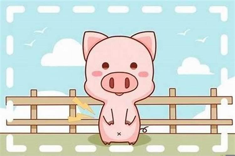 1995属猪女有贵人相助吗