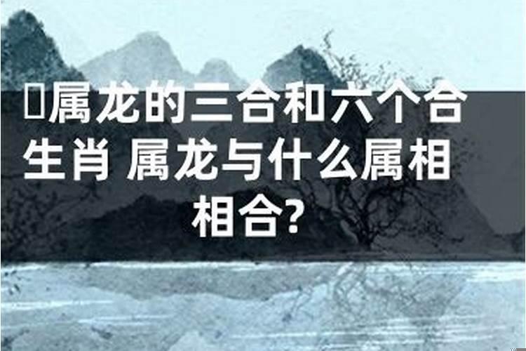 什么属相和龙相合