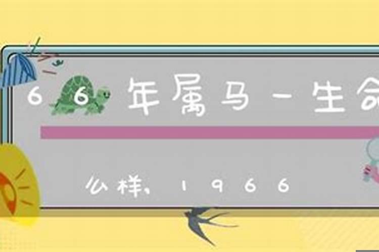 1966年生肖马女人的命运