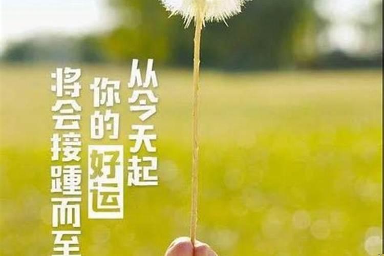 对待伤害你的人怎么办