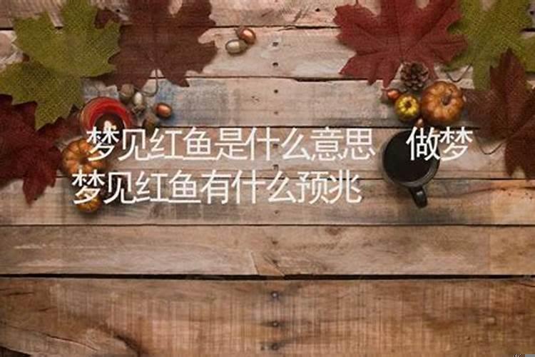 梦到小红鱼是什么意思啊