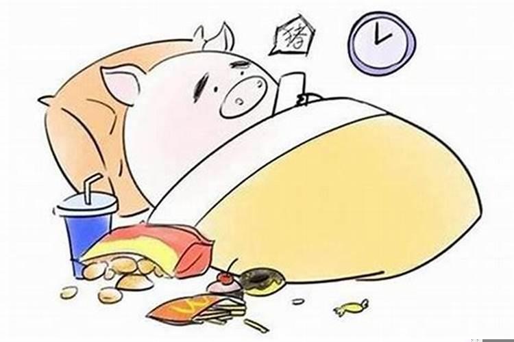 属猪人哪天出生命运好