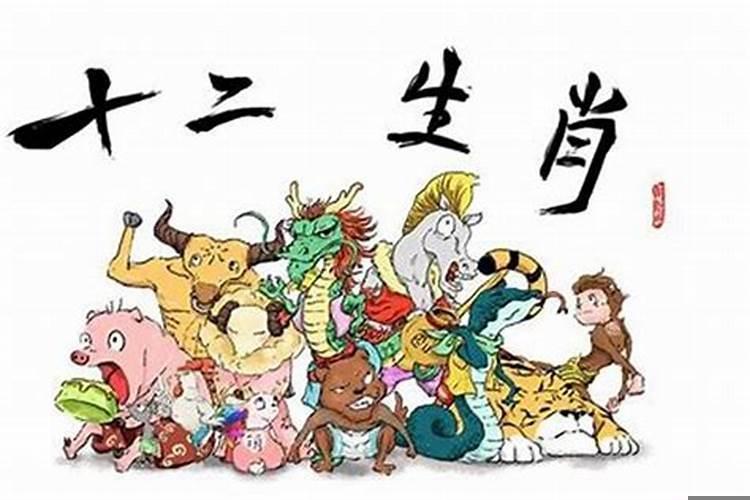 生肖反冲谈恋爱好不好