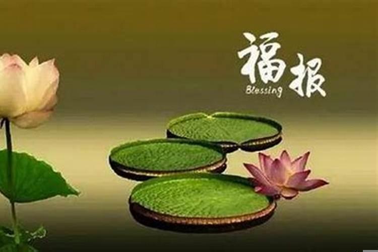 三种布施:财布施、法布施、无畏布