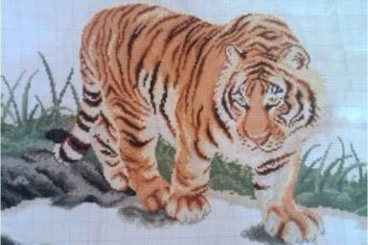 我是属虎的在家中挂虎有什么讲究吗