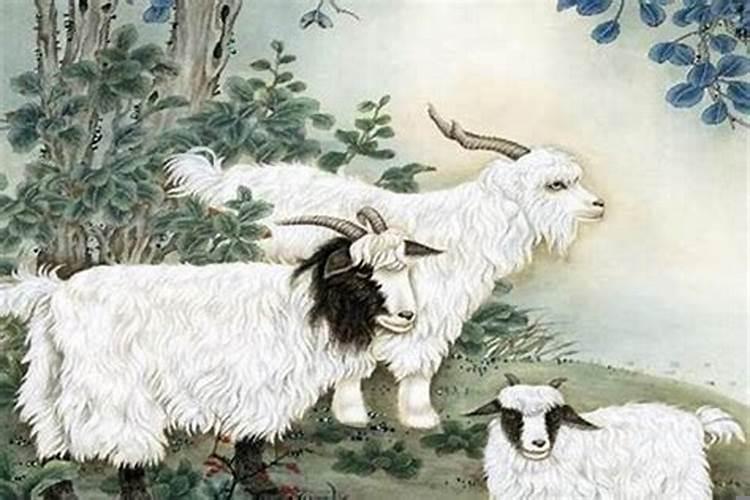 68年猴和67年羊夫妻怎样