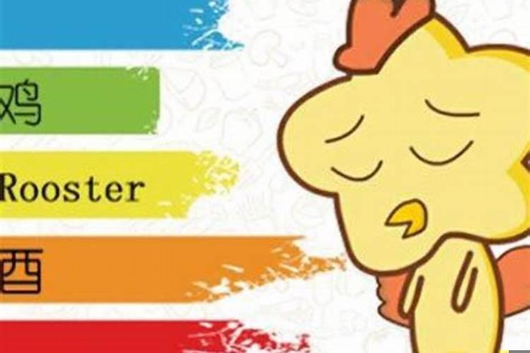 属兔和属鸡相合吗?