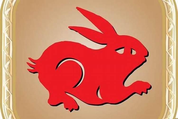 属兔人最致命的缺点