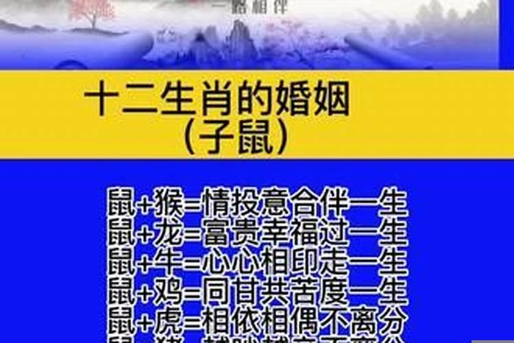 只是红颜多命苦猜一生肖