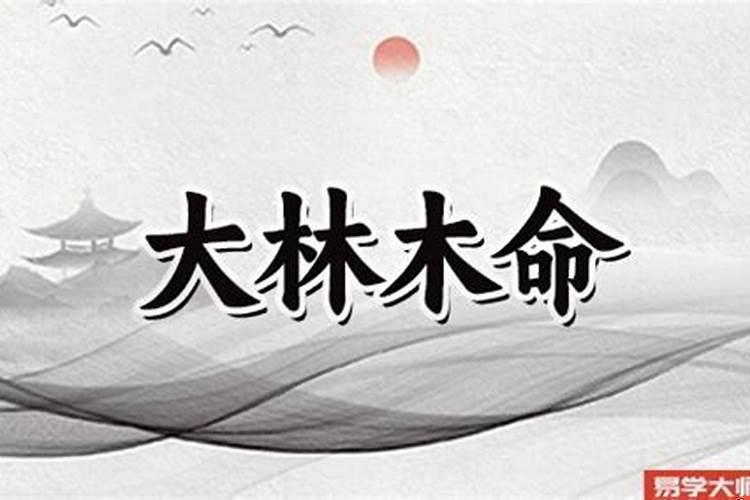 大林木是什么生肖