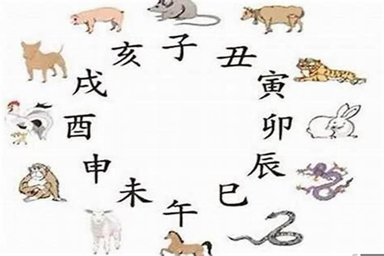 与属虎相冲的属相是什么