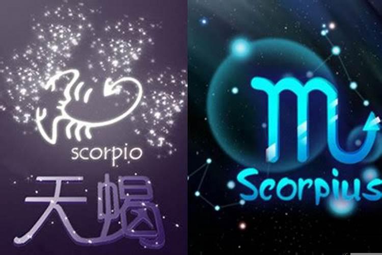 怎样走进天蝎女的内心