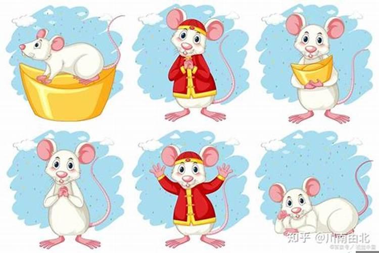 属狗的人2021年是不是犯太岁