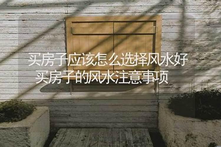买房子应该怎么选择风水好