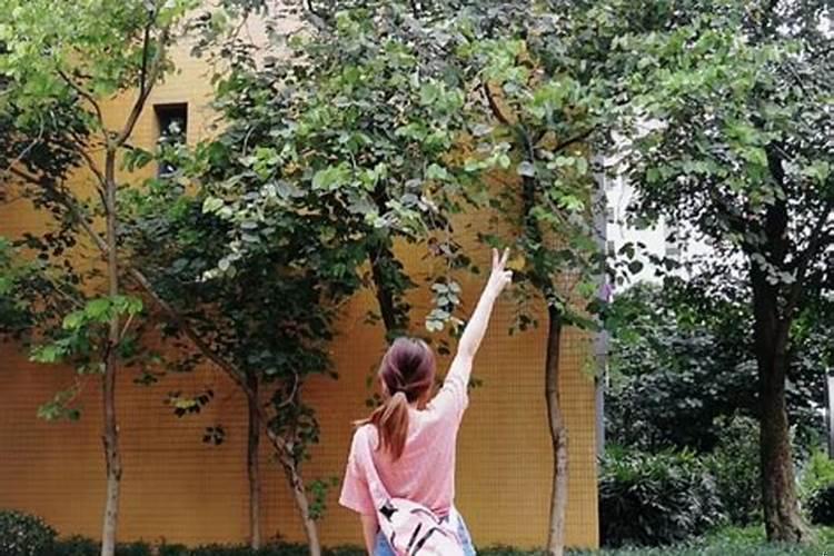 夫妻俩学历差距大是什么体验