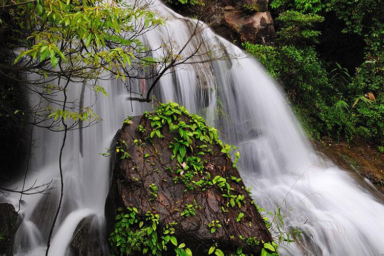 鼠人财运在什么方向