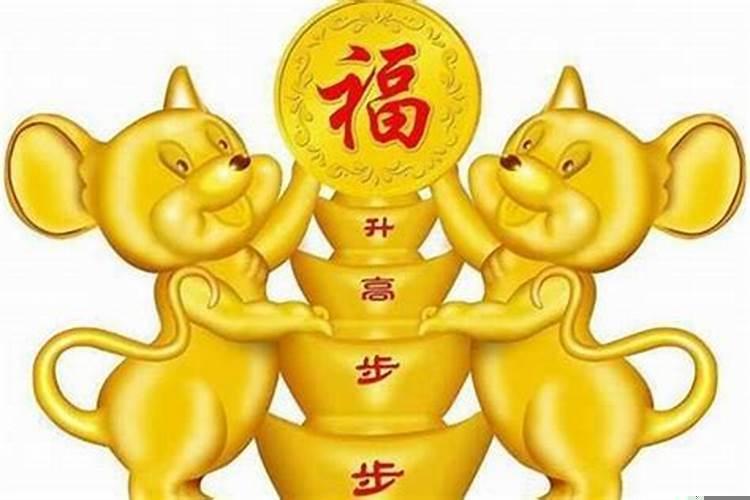 属鼠的适合婚配属相