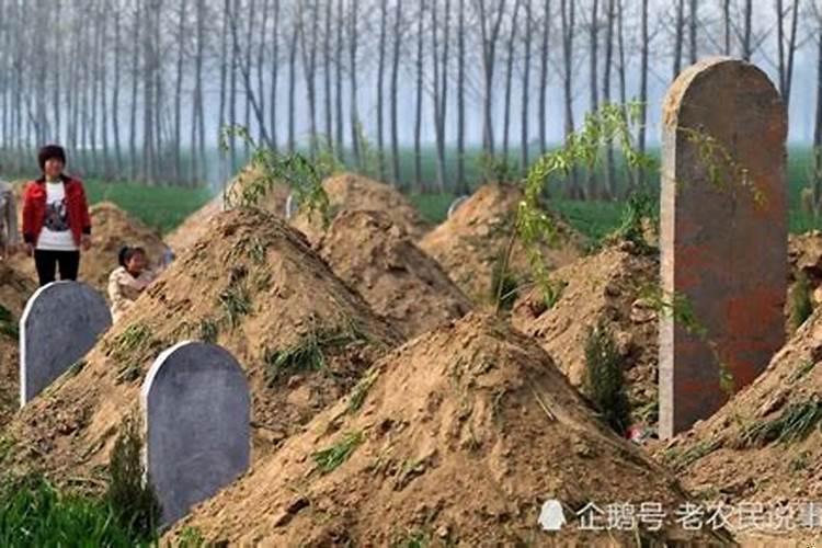 坟前有井有没有坏处