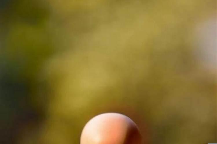 桃花运旺盛的人