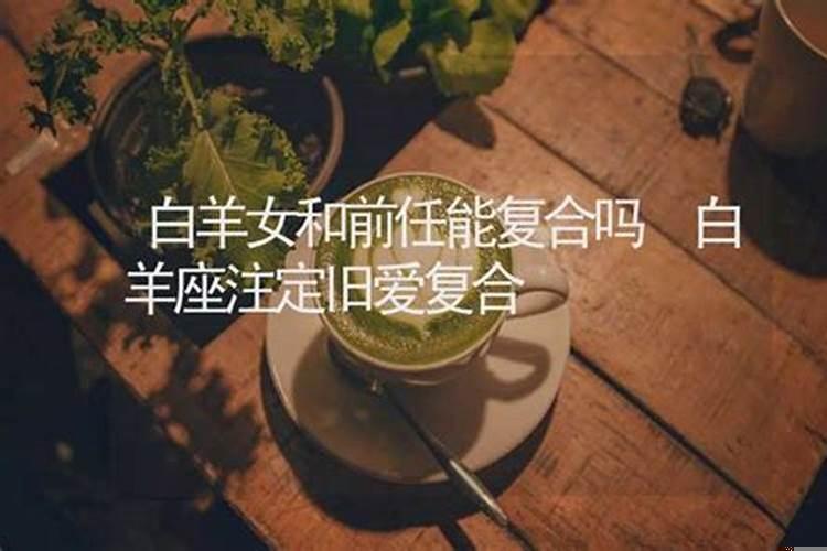 白羊男会和前女友复合吗