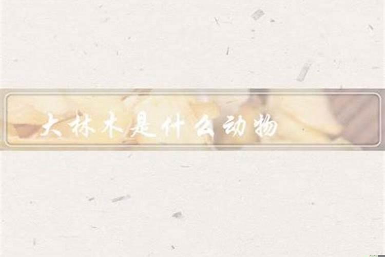 大林木是什么生肖