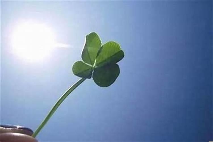 怎样让自己的气运旺