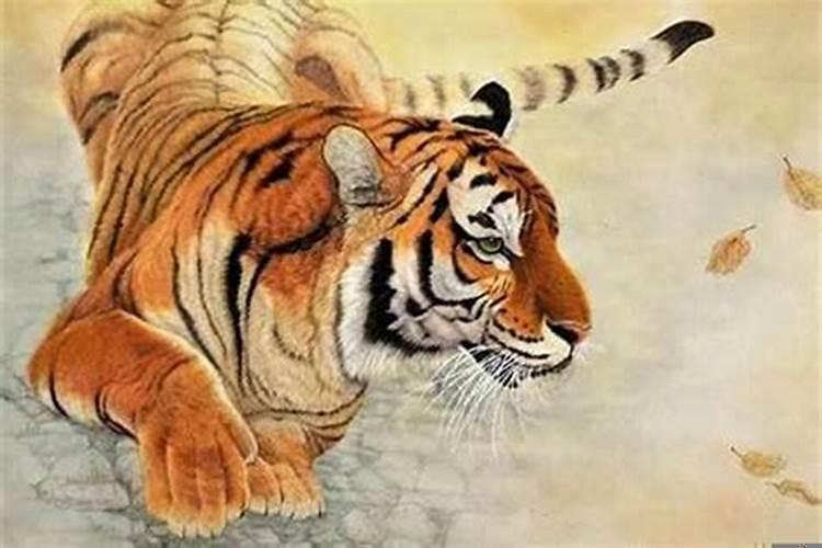 属虎这段时间运气如何