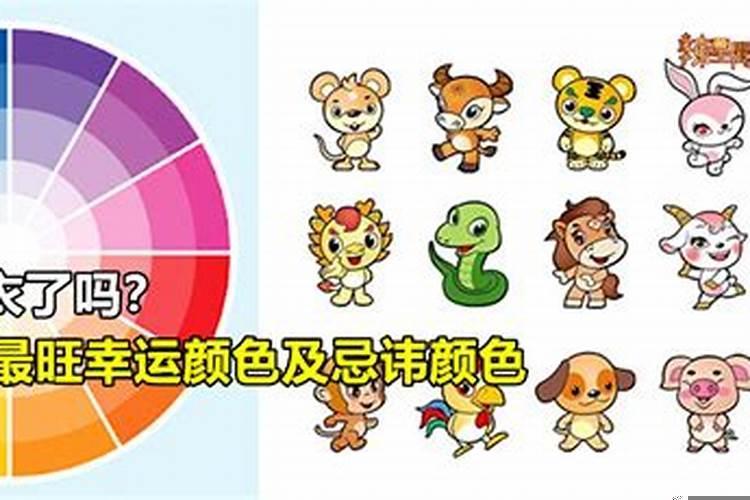 属羊终身幸运色及忌色