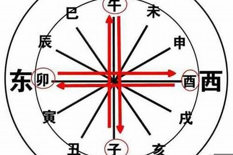 只是红颜多命苦猜一生肖