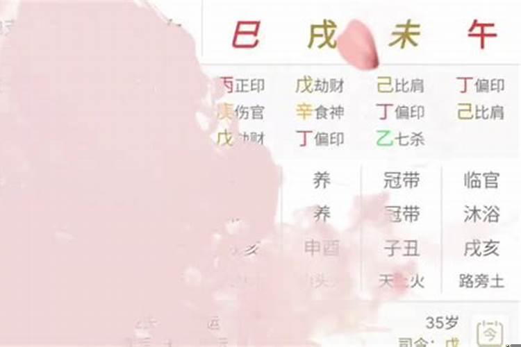 丁火走戊午大运