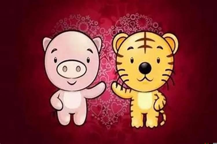 结婚12年应该是什么婚姻