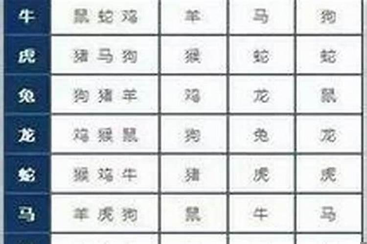 属相牛马相害是什么意思