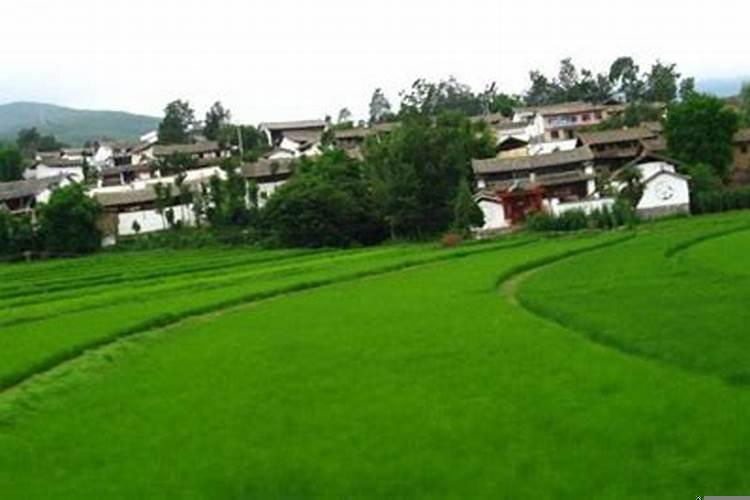 丧葬长孙要做什么