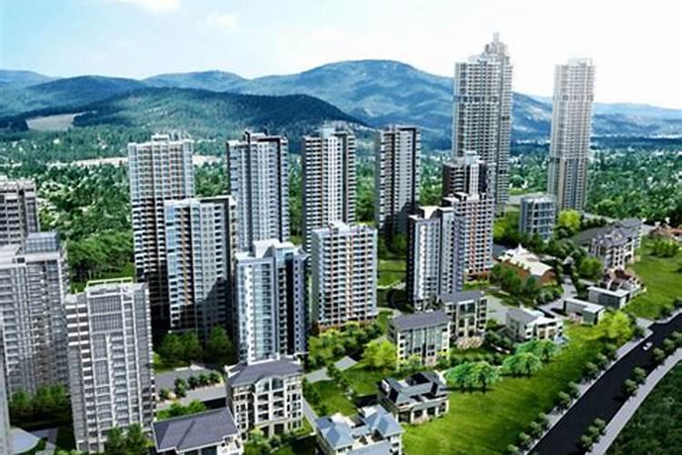 家里摆放什么生肖对风水好一点