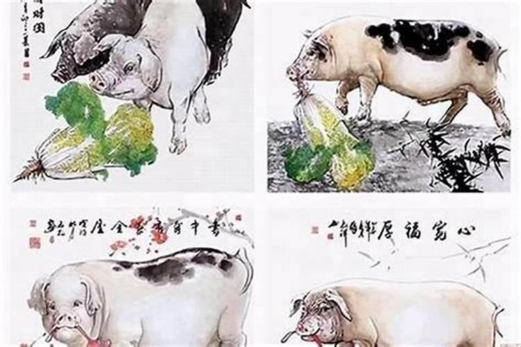 男83年属猪的和什么属相最配